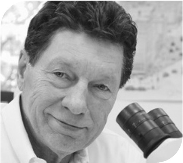 Reinhard Warnking